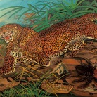 Leopardo