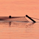 Marina Carlini. Poesie d’acqua