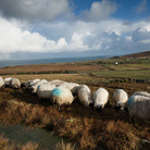 I Céide Fields nei paesaggi irlandesi. Un luogo di storia millenaria lungo un viaggio di ricerca
