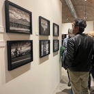 Alex Trusty. Naples Sense of Place