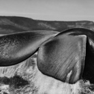 Sebastião Salgado, Penisola di Valdés, Argentina, 2004 | © Sebastião Salgado/Amazonas Images/Contrasto