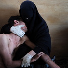 World Press Photo 2012