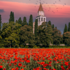 Tra i tesori di Aquileia. Ripartono le visite guidate alla perla patrimonio Unesco