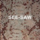 SEE - SAW. Le Zooicone di Carlo Pasini