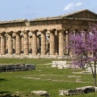 Wiki Loves Monuments al Parco Archeologico di Paestum