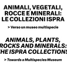 Animali, Vegetali, Rocce e Minerali: le Collezioni ISPRA > Verso un museo multispecie