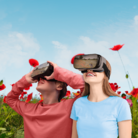 Inside Monet - Virtual Reality Experience