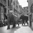 L'arte della cronaca 1946 - 1982. Immagini dell'agenzia fotogiornalistica Cameraphoto