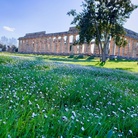 Riapertura del Parco Archeologico di Paestum e Velia