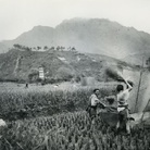 Leone Nani. Ogni cosa è fotografata