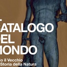 Il catalogo del mondo: Plinio il Vecchio e la Storia della Natura