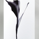 Giovanni Lombardini, Il fiore nero, 2014, tecnica mista su carta, legno laccato, corda d’acciaio, mollette, cm 70x55