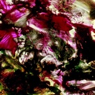 Stan Brakhage. The Dante Quartet