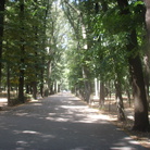 Parco delle Cascine - Firenze