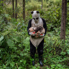 Nature - © Ami Vitale, National Geographic, Wolong’s Hetaoping Center, Riserva Naturale Nazionale di Wolong, Cina