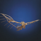Leonardo da Vinci, Modello di Macchina volante