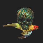 Wunderkammer. Camera delle meraviglie contemporanea