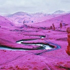 Richard Mosse. The Enclave