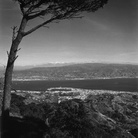 Le Storie della Fotografia - Gli anni Ottanta: complessità della “scuola italiana di paesaggio”. Con Roberta Valtorta