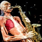 Body Worlds. The Cycle of Life