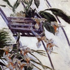 Gustave Caillebotte (1848-1894), Orchidee, 1893 circa, Olio su tela, 54 x 65 cm, Firmata in alto a destra “G. Caillebotte” Collezione privata, Cat. rag. Berhaut 490 | IMPRESSIONISTI SEGRETI - Palazzo Bonaparte, Roma 6 ottobre 2019 - 8 marzo 2020