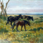 Giovanni Fattori, Cavalli al pascolo, 1872 ca., Olio su tela, cm. 88x176, Viareggio, Istituto Matteucci