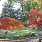 Parco del Valentino