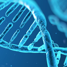 DNA. Il grande libro della vita da Mendel alla genomica