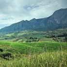 Il bel paesaggio di Cerda e la valle del Carciofo Spinoso Palermitano, 1.200 ettari dove si produce un'altra eccellenza del territorio del Distretto di Cefalù, Madonie e Himera