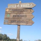 Palude e Bosco di Rauccio