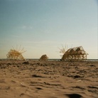 Theo Jansen, STRANDBEEST, Animaris Percipiere Rectus | © Loek van der Klis