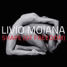 Livio Moiana. Shape (of freedom)