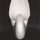 Edward Weston, Shell, 1927, Stampa alla gelatina d'argento | © Center for Creative Photography Arizona Board of Regents