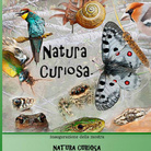 Natura curiosa