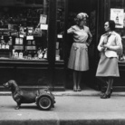 Robert Doisneau. Pescatore d’immagini