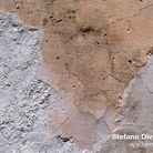 Stefano Divizia. Epidermica