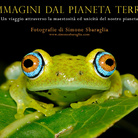 Simone Sbaraglia. Immagini dal Pianeta Terra