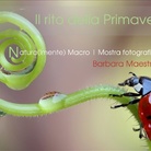 Barbara Maestrucci. Il rito della Primavera | Natura(lmente) Macro