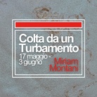 Miriam Montani. Colta da un Turbamento
