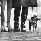 Elliott Erwitt. Family