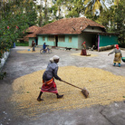 Steve McCurry, India.