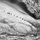 Sebastião Salgado, Isole South Sandwich, 2009 | © Sebastião Salgado/Amazonas Images/Contrasto