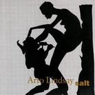 Kara Walker | Music: Arto Lindsay | Record: Salt | Year: 2004 | Label: Righteous Babe Records | Format: Album CD | Artwork: Installation, Endless Conundrum, an African Anonymous Adventuress (detail), 2001