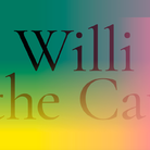 Willi the Cat