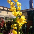 Chiostro in Fiera. XVI edizione