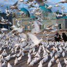 Steve McCurry. Icons_Ancona