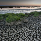 Wetlands: le terre d’acqua. Fotografie di Gabriele Espis