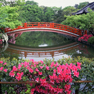 GIARDINI GIAPPONESI_Kyoto e le quattro stagioni. Fotografie di Mizuno Katsuhiko