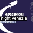 Art Night Venezia 2015