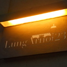 Ristorante Lungarno 23